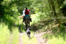 Croatia-Velebit Nature Park-Cowboy Wilderness Adventure